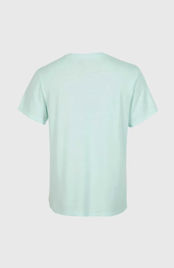 T-shirt Essentials Met V-hals | | O’Neill Fashion