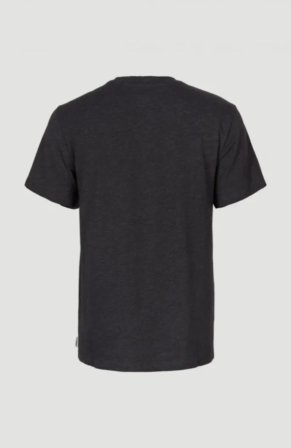 T-shirt Essentials Met V-hals | | O’Neill Sale
