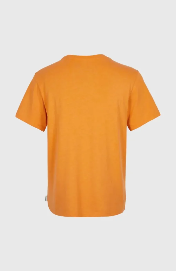T-shirt Essentials Met V-hals | | O’Neill Store