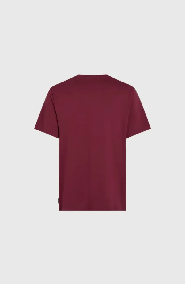 T-shirt O'Neill Small Logo | | O’Neill Best Sale