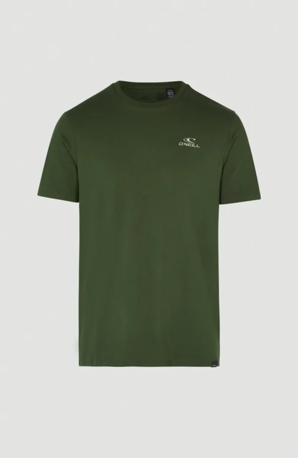 T-shirt O'Neill Small Logo | | O’Neill Outlet