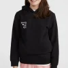 Women Of The Wave Hoodie | | O’Neill Best Sale