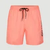 Zwemshort Cali 16'' | | O’Neill Shop