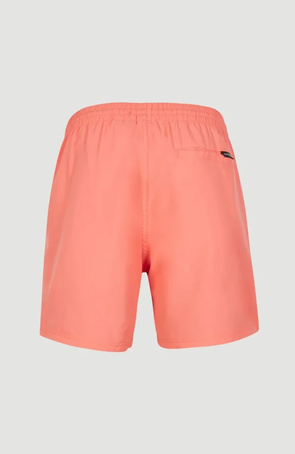 Zwemshort Cali 16'' | | O’Neill Shop