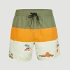 Zwemshort Cali Block 15'' | | O’Neill Outlet