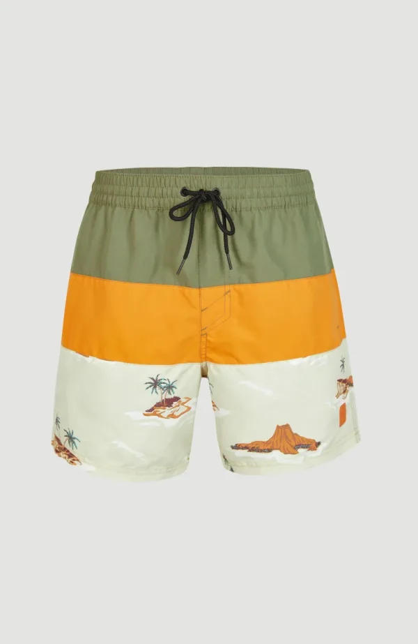 Zwemshort Cali Block 15'' | | O’Neill Outlet