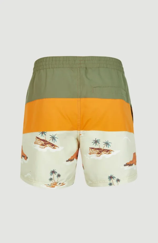 Zwemshort Cali Block 15'' | | O’Neill Outlet