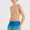 Zwemshort Cali Gradient 14'' | | O’Neill Sale