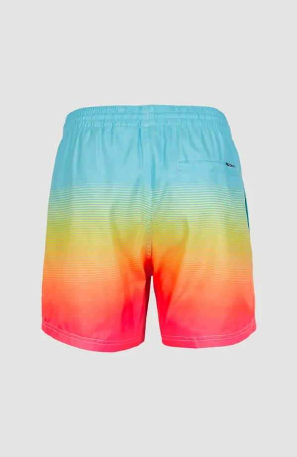 Zwemshort Cali Gradient 15'' | | O’Neill Flash Sale