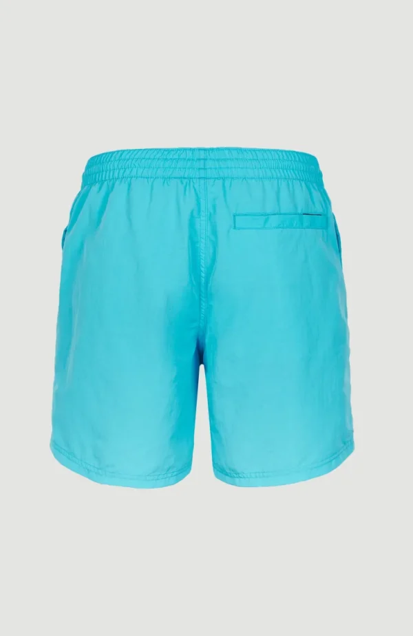 Zwemshort Cali Melted Print 16'' | | O’Neill Best Sale