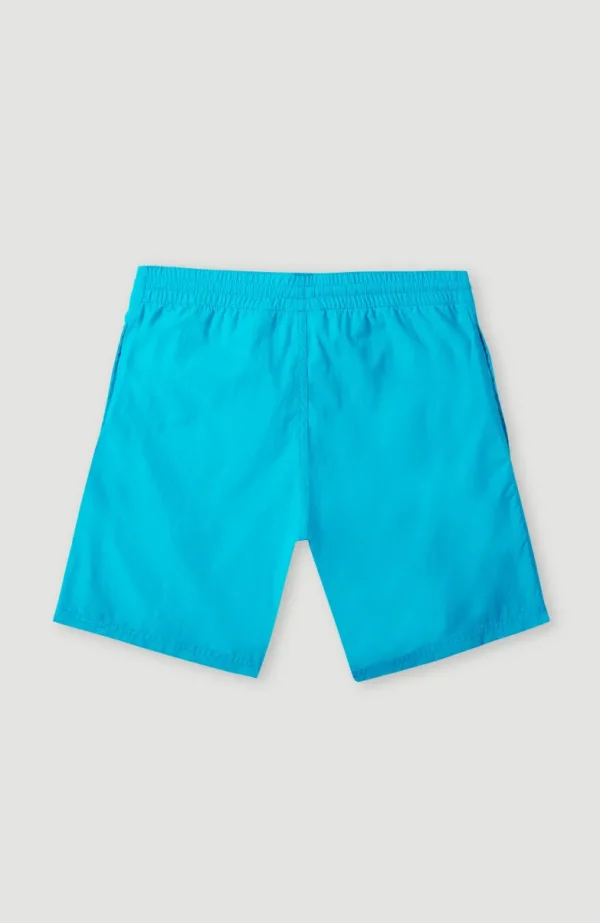 Zwemshort Cali Melting 14'' | | O’Neill Best