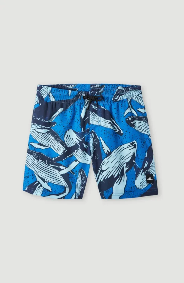 Zwemshort Cali Print 13'' | | O’Neill Hot