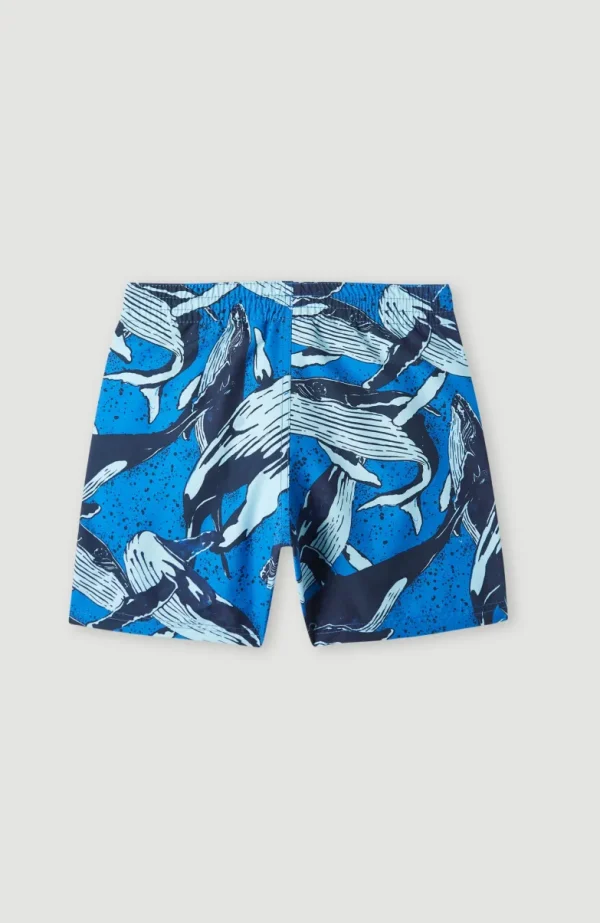 Zwemshort Cali Print 13'' | | O’Neill Hot