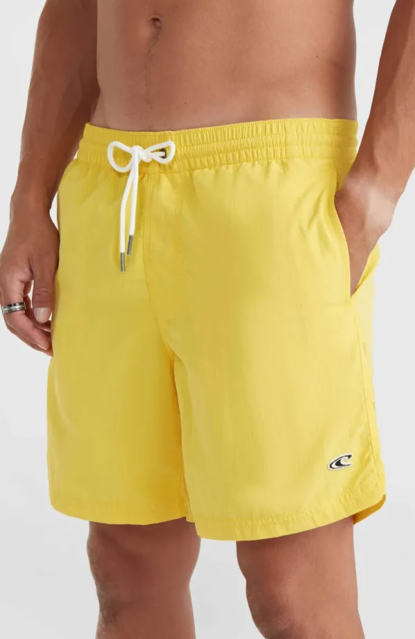 Zwemshort Vert 16'' | | O’Neill Cheap