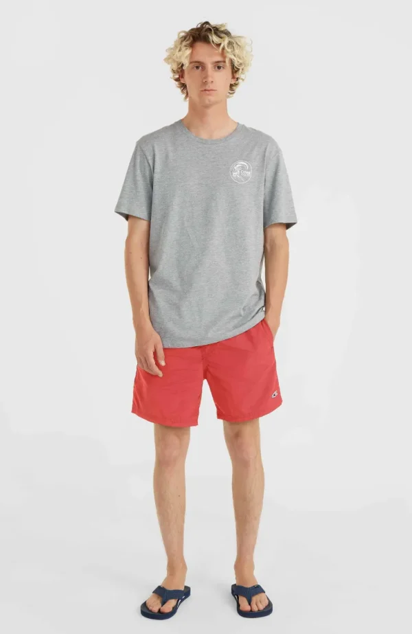 Zwemshort Vert 16'' | | O’Neill Online