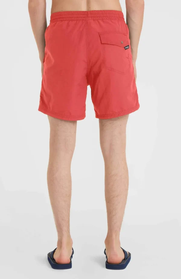 Zwemshort Vert 16'' | | O’Neill Online