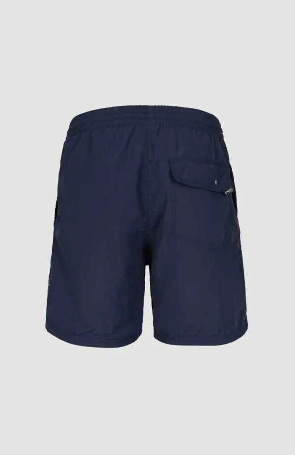 Zwemshort Vert 16'' | | O’Neill Fashion