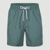 Zwemshort Vert 16'' | | O’Neill Sale