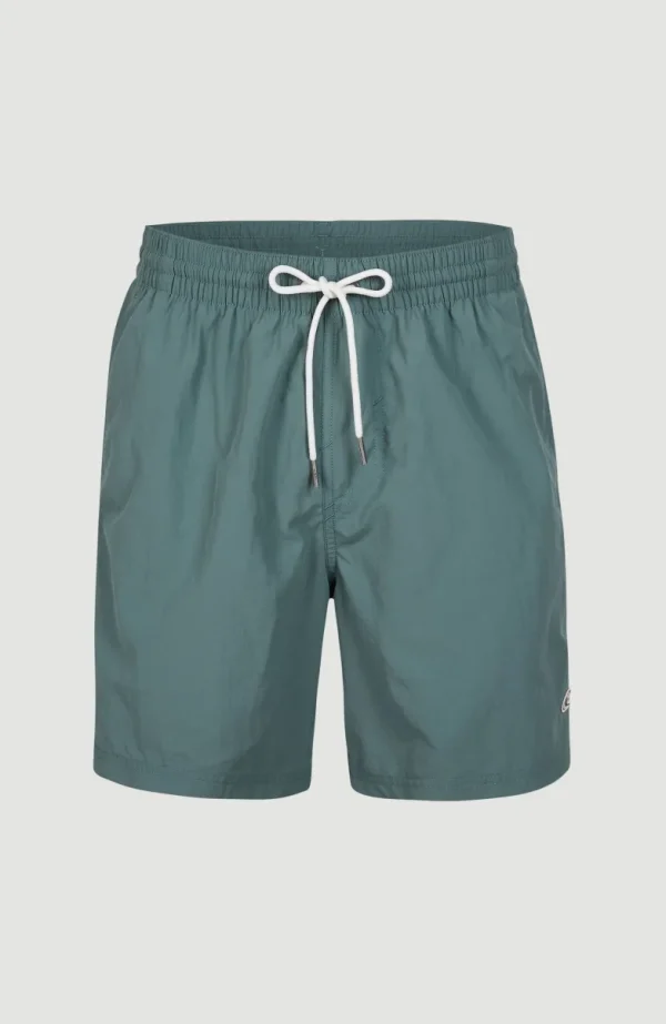 Zwemshort Vert 16'' | | O’Neill Sale