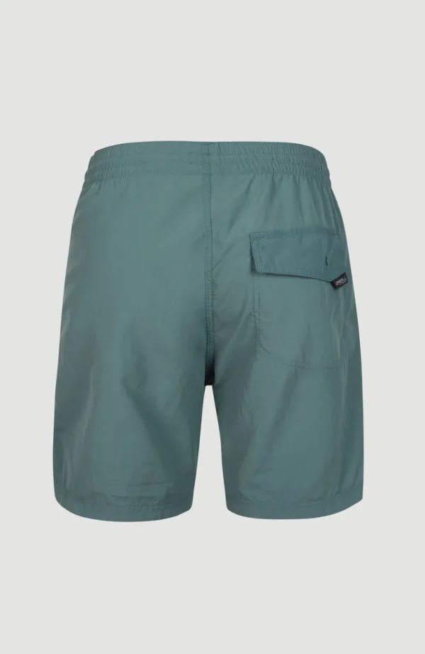 Zwemshort Vert 16'' | | O’Neill Sale