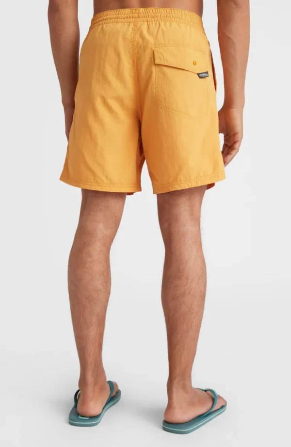 Zwemshort Vert 16'' | | O’Neill New