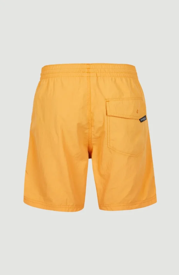 Zwemshort Vert 16'' | | O’Neill New