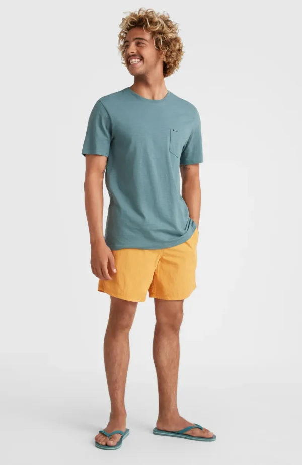 Zwemshort Vert 16'' | | O’Neill New