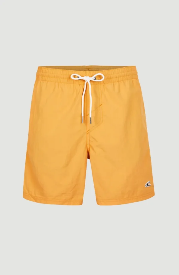 Zwemshort Vert 16'' | | O’Neill New