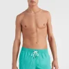 Zwemshort Vert 16'' | | O’Neill Best Sale