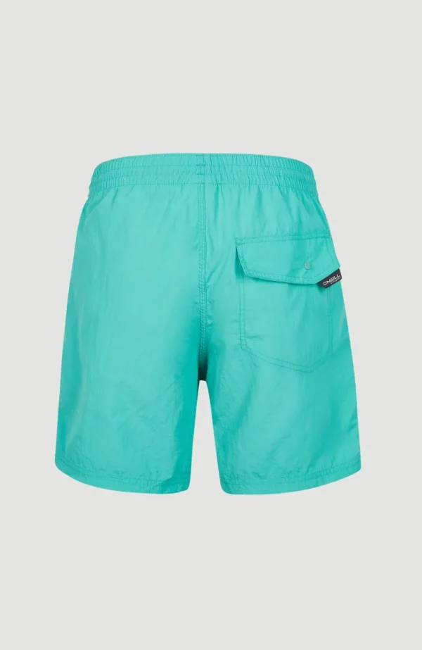 Zwemshort Vert 16'' | | O’Neill Best Sale