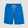 Zwemshort Vert 16'' | | O’Neill Best Sale