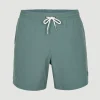 Zwemshort Vert Camorro 16'' | | O’Neill Store